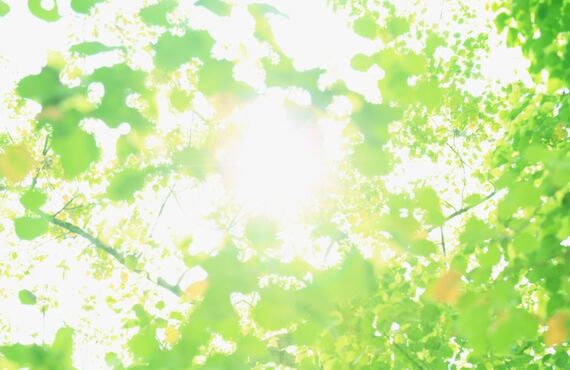 白い歯は、すきま時間で。ホワイトニングはりあん鍼灸整骨院で。